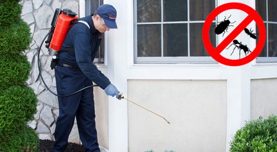 Çaykara Dezenfeksiyon böcek ilaçlama ve haşere kontrolü — ilaclama-tr.com